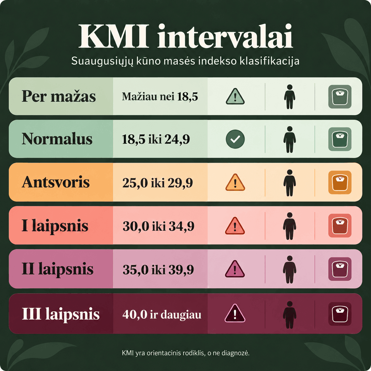 KMI intervalų ir suaugusiųjų kūno masės indekso klasifikacijos grafikas